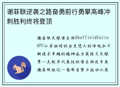 谢菲联逆袭之路奋勇前行勇攀高峰冲刺胜利终将登顶
