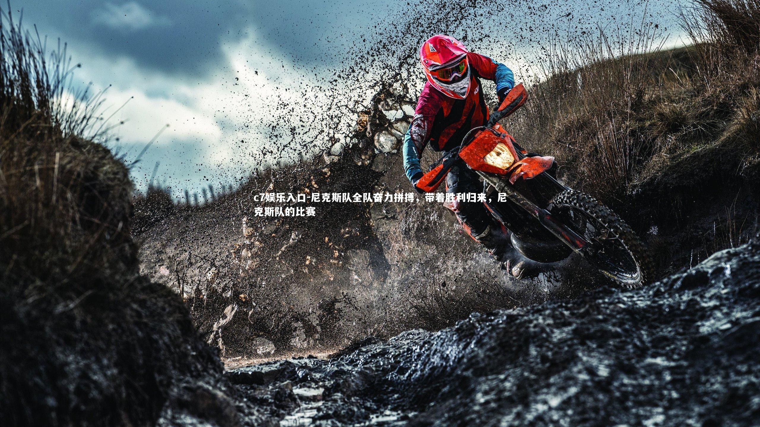 尼克斯队全队奋力拼搏，带着胜利归来，尼克斯队的比赛