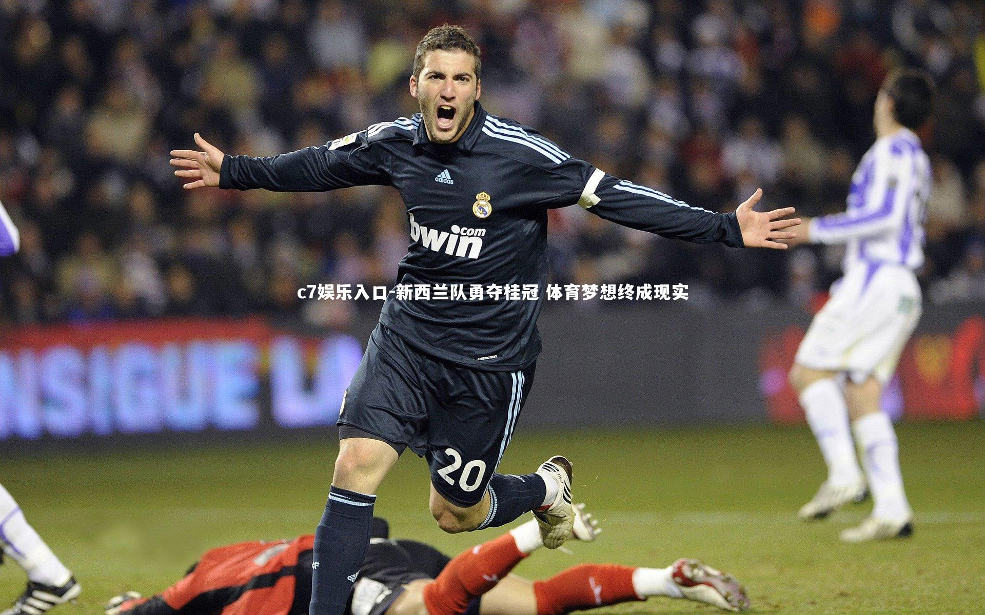 新西兰队勇夺桂冠 体育梦想终成现实